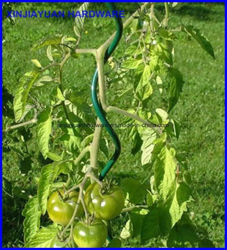 Tomato spiral Support Plant Growing spiral Stakes