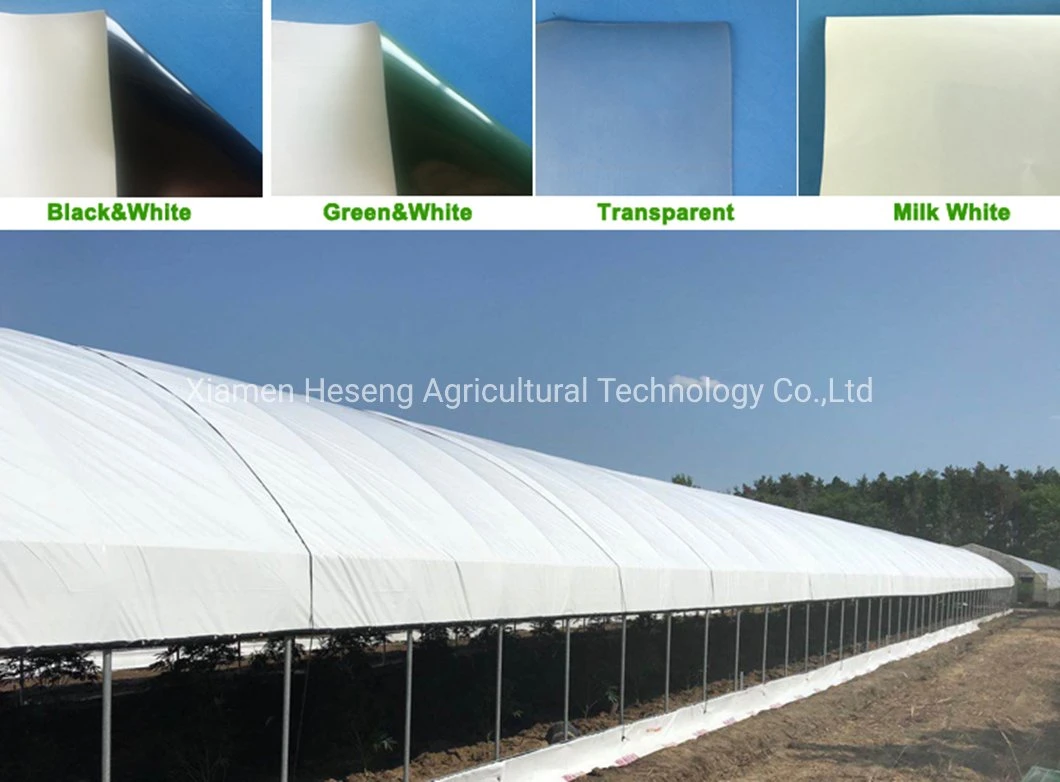 Cheap Agricultural Single Span Poly Film Tunnel Greenhouse with Irrigation and Hydroponics Growing System for Flower Vegetable Medical Plants